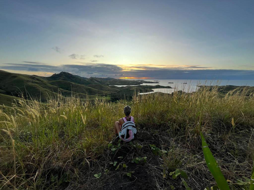 Mastering Calmness: Why Panicking Shouldn’t Take the steering&nbsp;Wheel