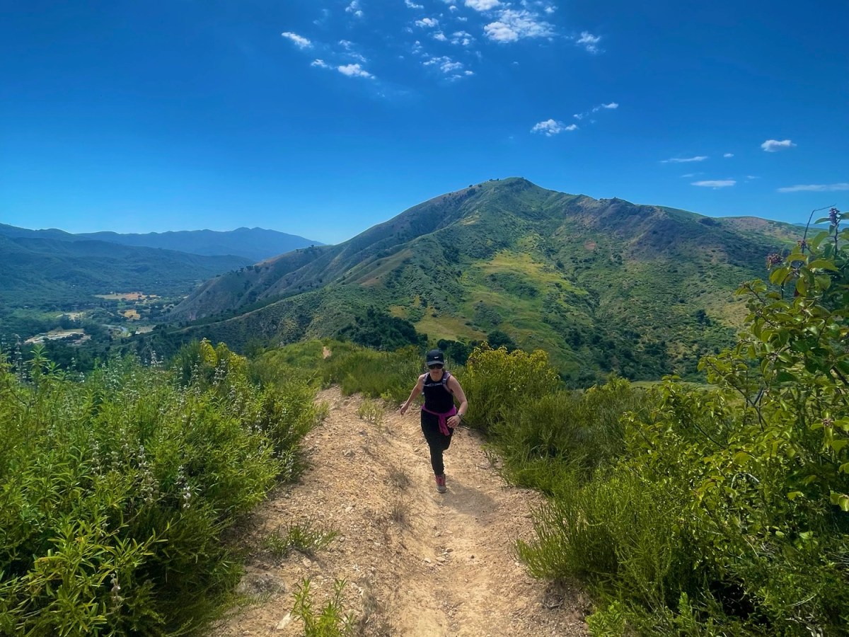 Hiking Aliso Canyon in Los Padres National&nbsp;Forest